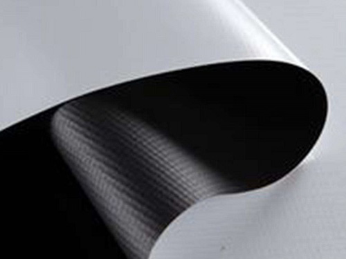 Superbanner black back